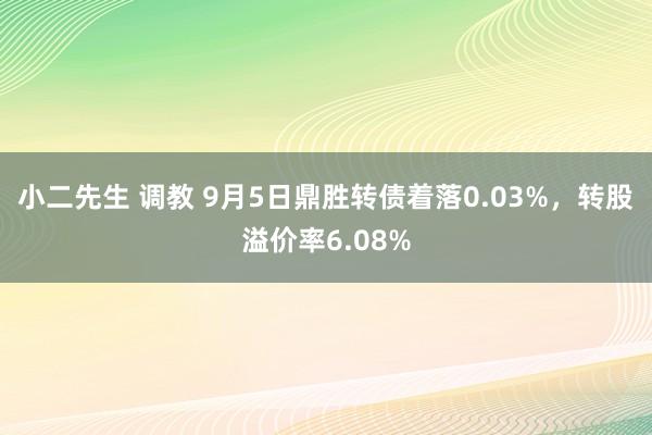 小二先生 调教 9月5日鼎胜转债着落0.03%，转股溢价率6.08%