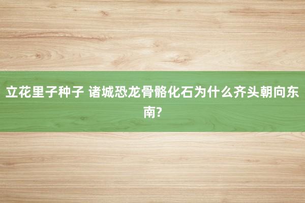 立花里子种子 诸城恐龙骨骼化石为什么齐头朝向东南?