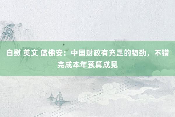 自慰 英文 蓝佛安：中国财政有充足的韧劲，不错完成本年预算成见