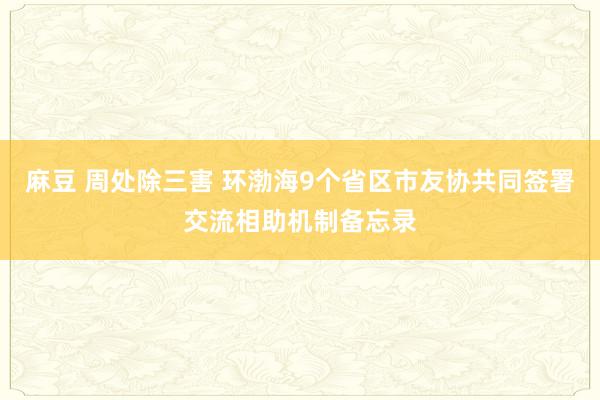 麻豆 周处除三害 环渤海9个省区市友协共同签署交流相助机制备忘录