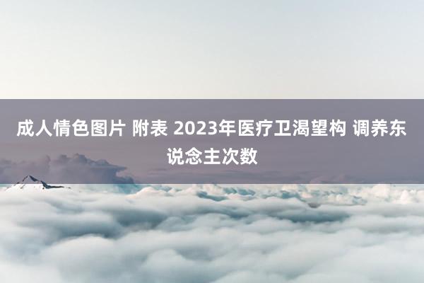成人情色图片 附表 2023年医疗卫渴望构 调养东说念主次数