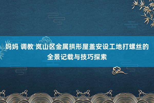 妈妈 调教 岚山区金属拱形屋盖安设工地打螺丝的全景记载与技巧探索