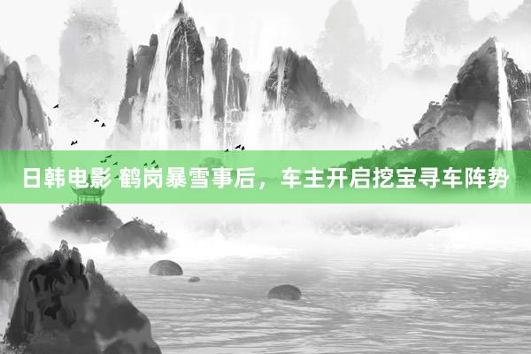 日韩电影 鹤岗暴雪事后，车主开启挖宝寻车阵势