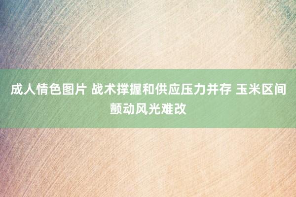成人情色图片 战术撑握和供应压力并存 玉米区间颤动风光难改