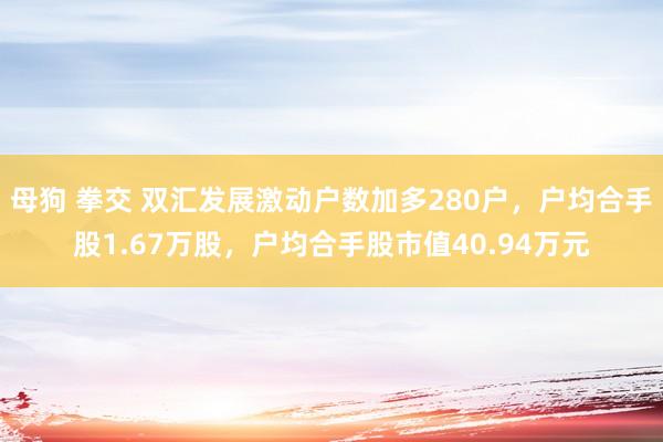 母狗 拳交 双汇发展激动户数加多280户，户均合手股1.67万股，户均合手股市值40.94万元