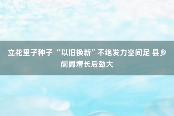 立花里子种子 “以旧换新”不绝发力空间足 县乡阛阓增长后劲大