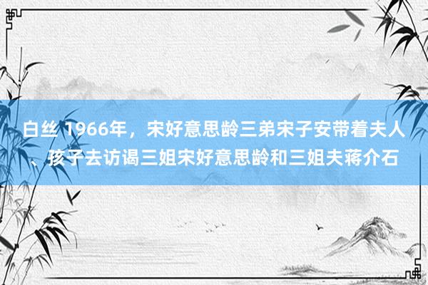 白丝 1966年，宋好意思龄三弟宋子安带着夫人、孩子去访谒三姐宋好意思龄和三姐夫蒋介石