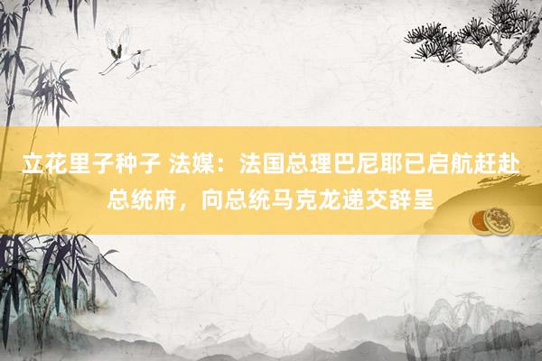 立花里子种子 法媒：法国总理巴尼耶已启航赶赴总统府，向总统马克龙递交辞呈
