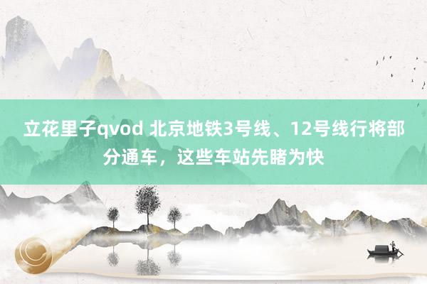 立花里子qvod 北京地铁3号线、12号线行将部分通车，这些车站先睹为快
