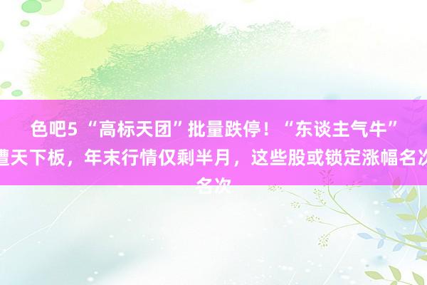 色吧5 “高标天团”批量跌停！“东谈主气牛”遭天下板，年末行情仅剩半月，这些股或锁定涨幅名次