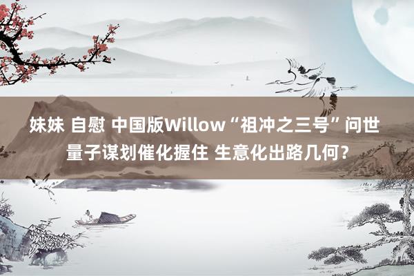 妹妹 自慰 中国版Willow“祖冲之三号”问世 量子谋划催化握住 生意化出路几何？