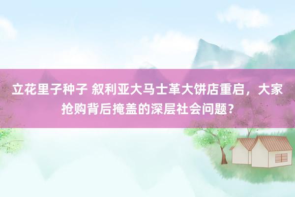 立花里子种子 叙利亚大马士革大饼店重启，大家抢购背后掩盖的深层社会问题？