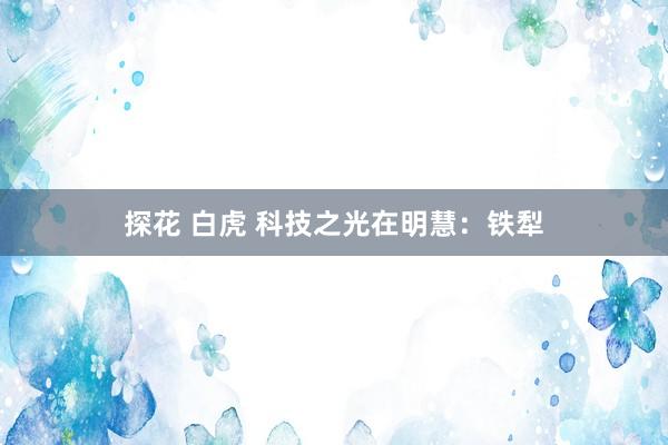 探花 白虎 科技之光在明慧：铁犁