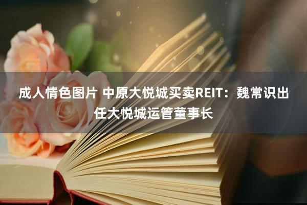 成人情色图片 中原大悦城买卖REIT：魏常识出任大悦城运管董事长