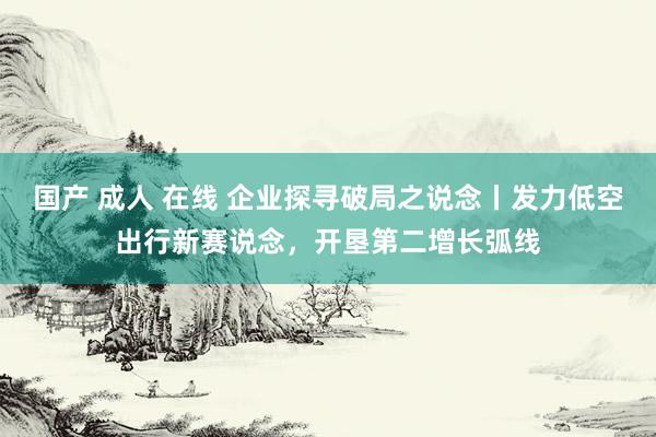 国产 成人 在线 企业探寻破局之说念丨发力低空出行新赛说念，开垦第二增长弧线