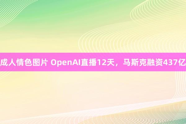 成人情色图片 OpenAI直播12天，马斯克融资437亿