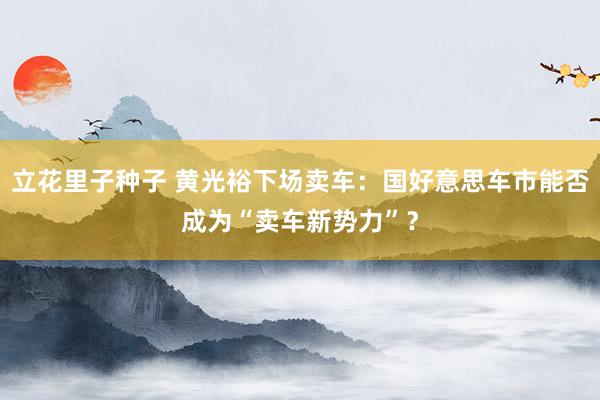 立花里子种子 黄光裕下场卖车：国好意思车市能否成为“卖车新势力”？