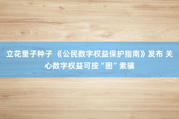 立花里子种子 《公民数字权益保护指南》发布 关心数字权益可按“图”索骥
