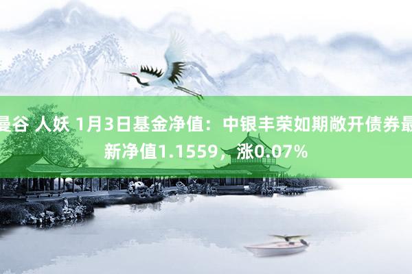曼谷 人妖 1月3日基金净值：中银丰荣如期敞开债券最新净值1.1559，涨0.07%