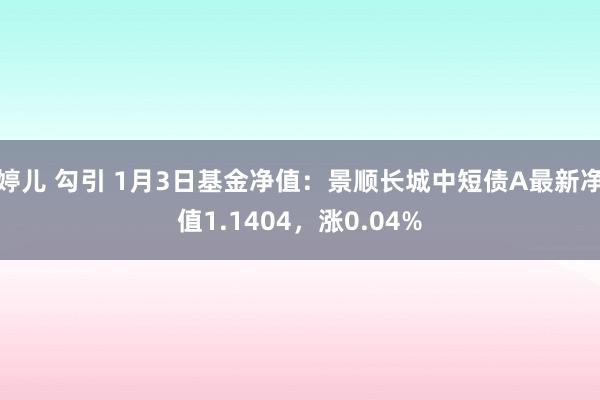 婷儿 勾引 1月3日基金净值：景顺长城中短债A最新净值1.1404，涨0.04%