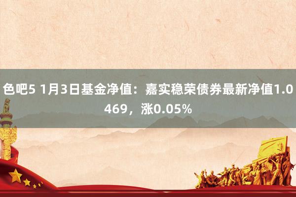 色吧5 1月3日基金净值：嘉实稳荣债券最新净值1.0469，涨0.05%