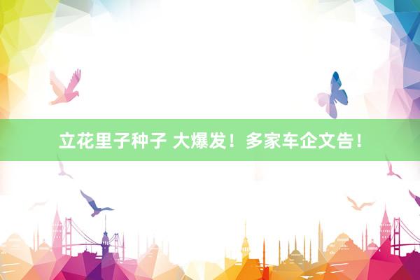 立花里子种子 大爆发！多家车企文告！