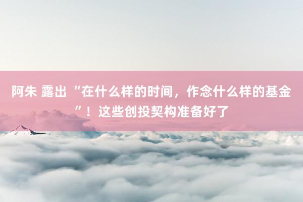 阿朱 露出 “在什么样的时间，作念什么样的基金”！这些创投契构准备好了