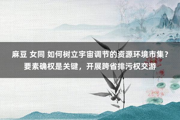 麻豆 女同 如何树立宇宙调节的资源环境市集？要素确权是关键，开展跨省排污权交游
