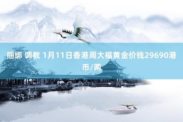 捆绑 调教 1月11日香港周大福黄金价钱29690港币/两