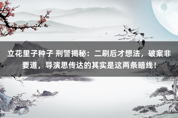 立花里子种子 刑警揭秘：二刷后才想法，破案非要道，导演思传达的其实是这两条暗线！