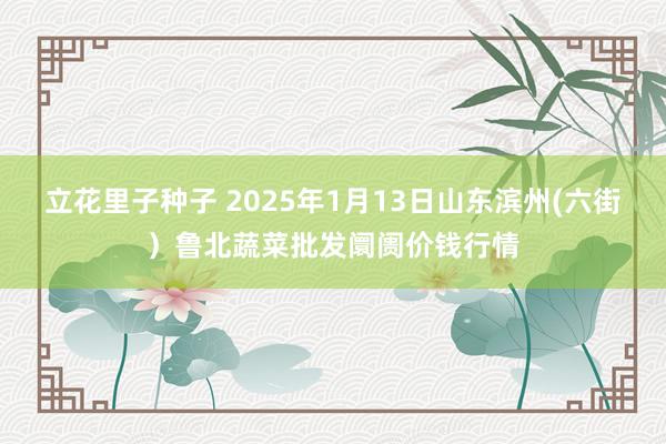 立花里子种子 2025年1月13日山东滨州(六街）鲁北蔬菜批发阛阓价钱行情