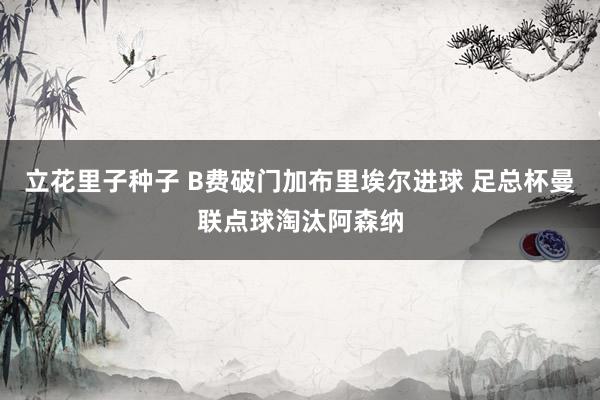 立花里子种子 B费破门加布里埃尔进球 足总杯曼联点球淘汰阿森纳