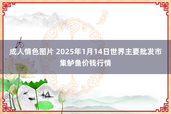 成人情色图片 2025年1月14日世界主要批发市集鲈鱼价钱行情