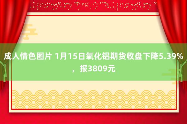 成人情色图片 1月15日氧化铝期货收盘下降5.39%，报3809元