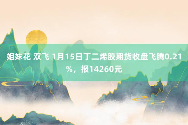 姐妹花 双飞 1月15日丁二烯胶期货收盘飞腾0.21%，报14260元