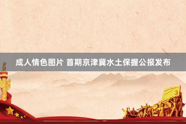 成人情色图片 首期京津冀水土保握公报发布