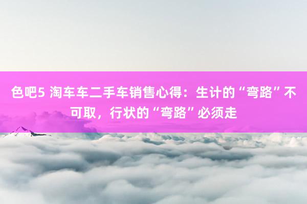 色吧5 淘车车二手车销售心得：生计的“弯路”不可取，行状的“弯路”必须走