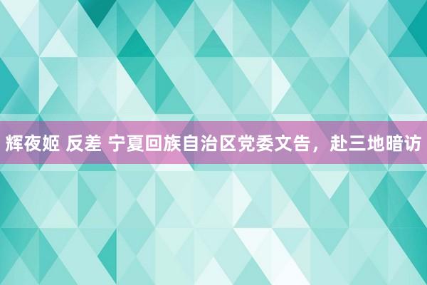辉夜姬 反差 宁夏回族自治区党委文告，赴三地暗访