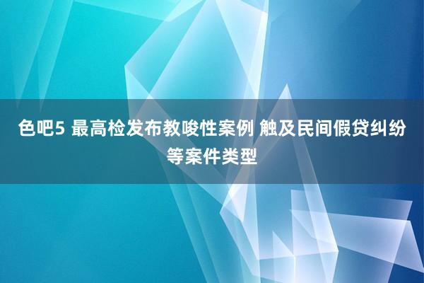 色吧5 最高检发布教唆性案例 触及民间假贷纠纷等案件类型