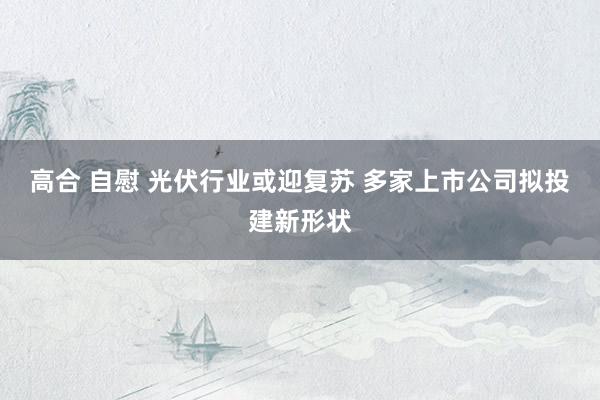 高合 自慰 光伏行业或迎复苏 多家上市公司拟投建新形状