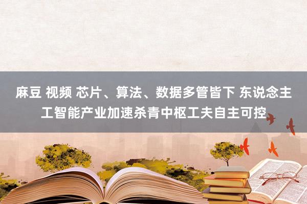 麻豆 视频 芯片、算法、数据多管皆下 东说念主工智能产业加速杀青中枢工夫自主可控