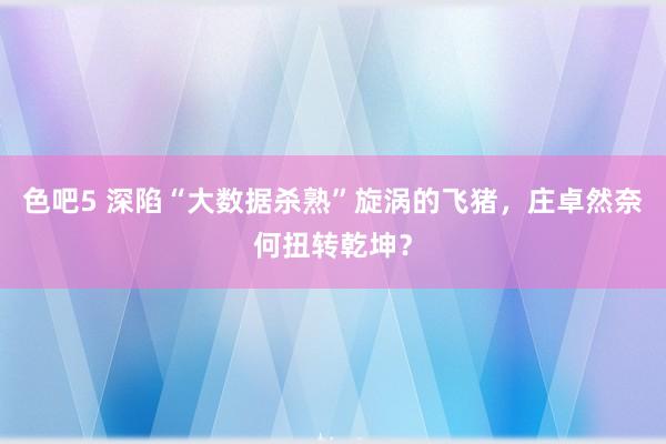 色吧5 深陷“大数据杀熟”旋涡的飞猪，庄卓然奈何扭转乾坤？