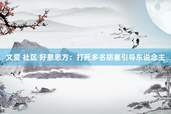 文爱 社区 好意思方：打死多名胡塞引导东说念主