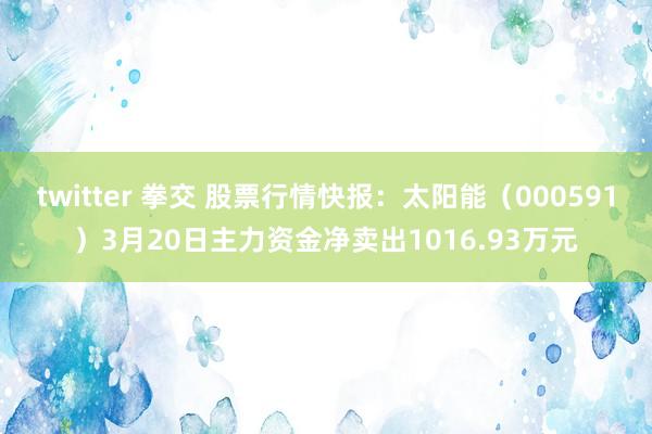 twitter 拳交 股票行情快报：太阳能（000591）3月20日主力资金净卖出1016.93万元