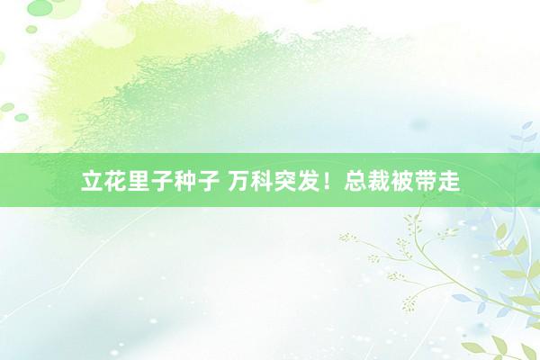 立花里子种子 万科突发！总裁被带走