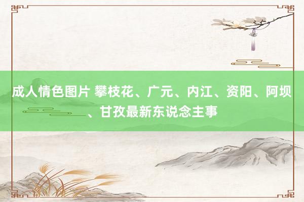 成人情色图片 攀枝花、广元、内江、资阳、阿坝、甘孜最新东说念主事