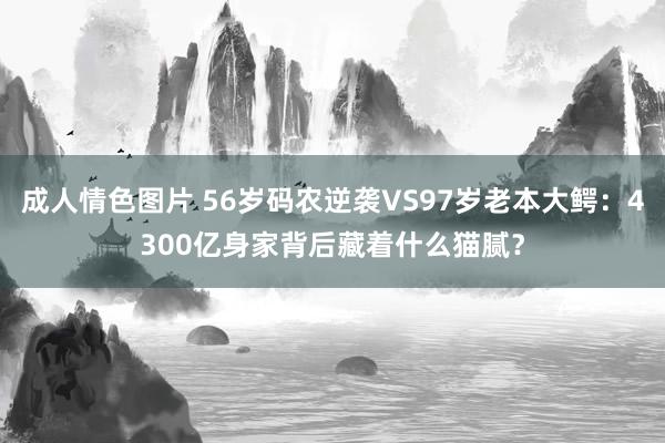 成人情色图片 56岁码农逆袭VS97岁老本大鳄：4300亿身家背后藏着什么猫腻？
