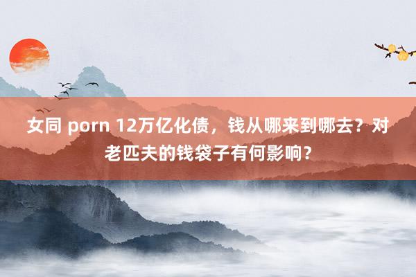 女同 porn 12万亿化债，钱从哪来到哪去？对老匹夫的钱袋子有何影响？