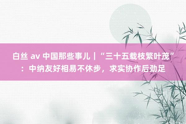 白丝 av 中国那些事儿｜“三十五载枝繁叶茂”：中纳友好相易不休步，求实协作后劲足