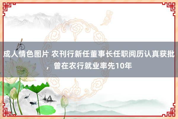 成人情色图片 农刊行新任董事长任职阅历认真获批，曾在农行就业率先10年